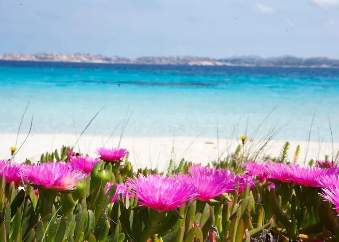 Apartman Bilancia I 30' Porto Cervo, Private Garden & Sea View *